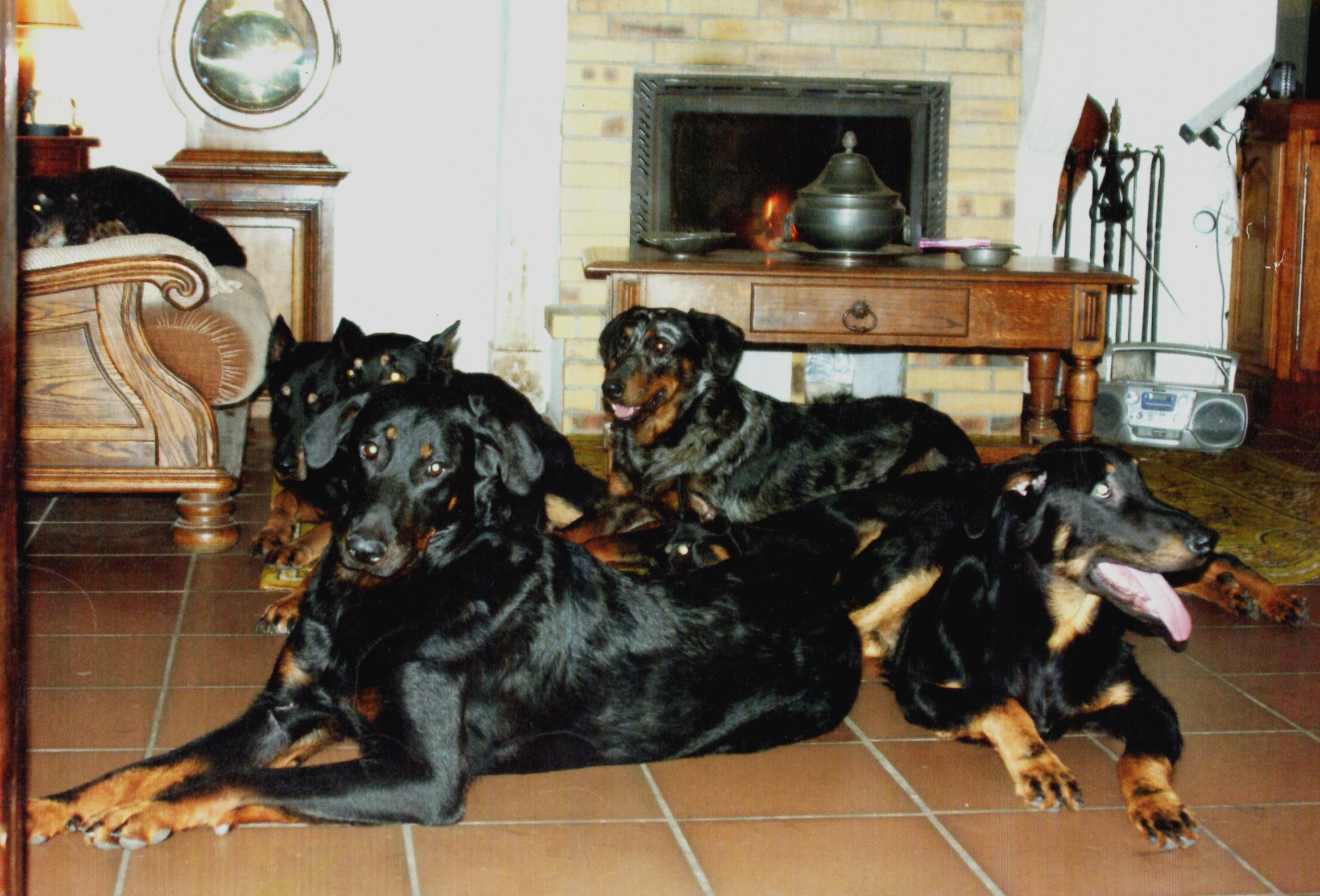 BEAUCERONS